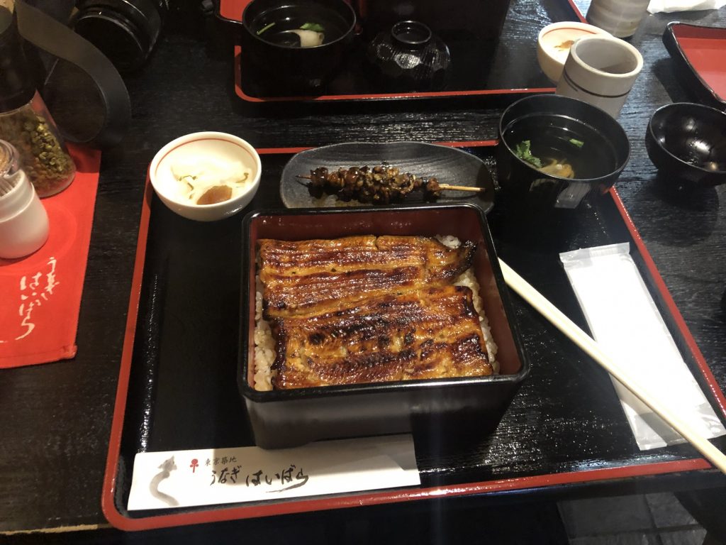 Unagi donburi